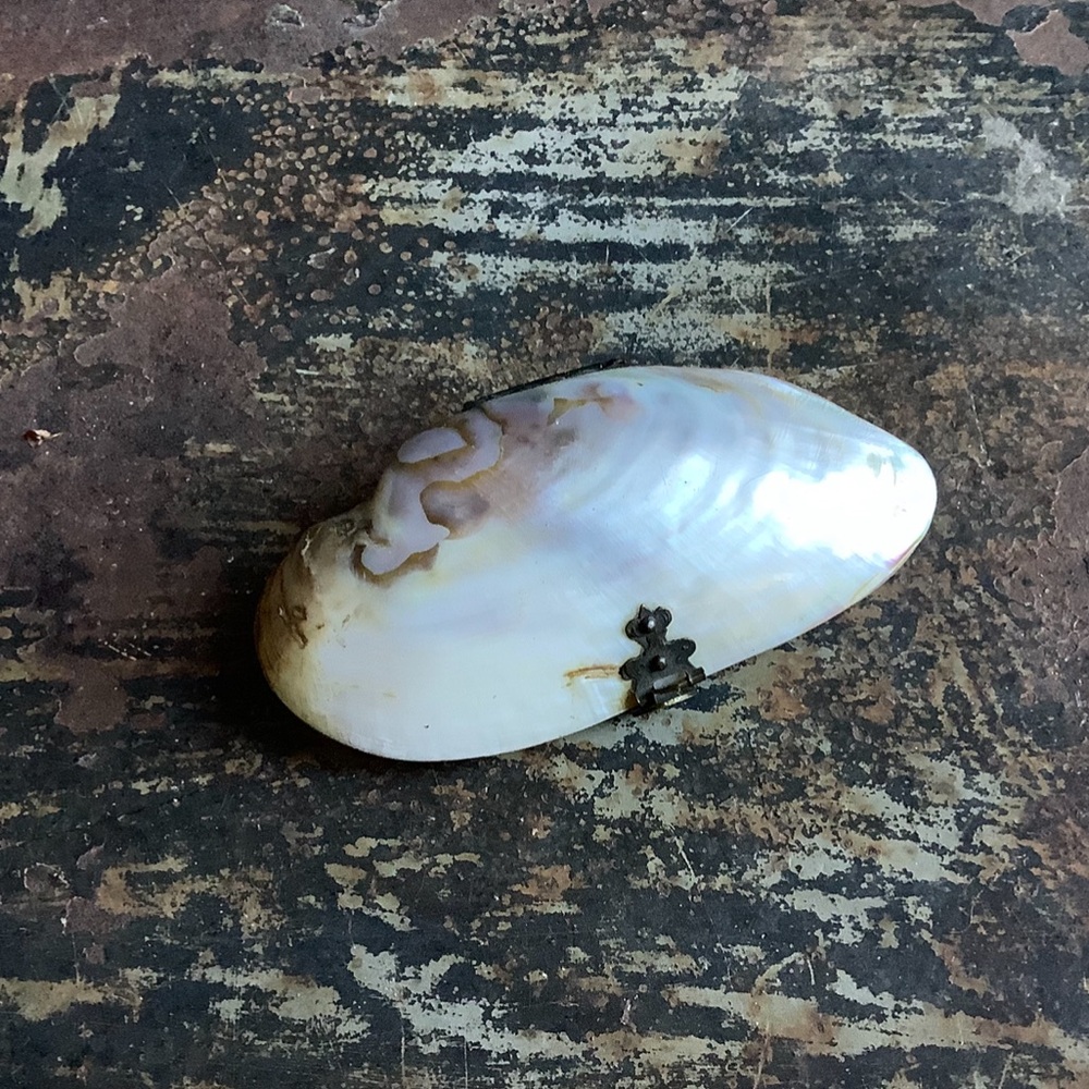 Antique Victorian Mother of Pearl Coin Purse